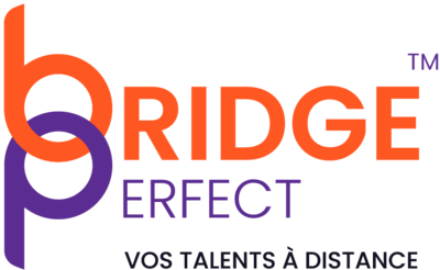 Bridge Perfect Logo - Vos talents à distance